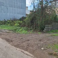 زمین|فروش زمین و ملک کلنگی|رشت, پستک|دیوار