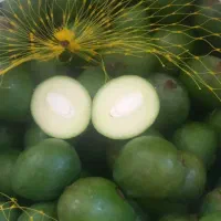 انبه رودان
