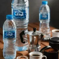 پخش و توزیع آب معدنی و نوشابه و محصولات پگاه