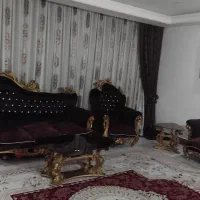 خانم جهت نظافت