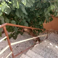 اجاره روزانه/هفتگی/ماهانه آپارتمان ۱۸۰ متری در فضل|اجارهٔ کوتاه‌مدت آپارتمان و سوئیت|نیشابور, فضل|دیوار