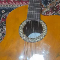 گیتار|گیتار، بیس، امپلیفایر|رشت, منظریه|دیوار