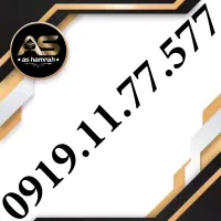 0919.11.77.577
