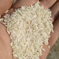 برنج عنبر بو الک و سورت شده درجه یک