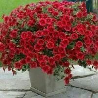 بنیاد نیکوکاری هستی(مجانی).حل کردن مشکلات زندگی