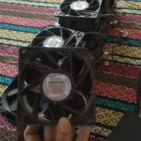 فن کوچیک بزرگ کسی کامپیوتر همه نو هستن