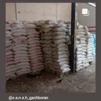 کارگر نیازمندیم