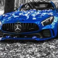 ماشین دربستی