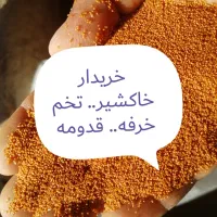 خرید و فروش  خاکشیر   قدومه  تخم خرفه  قلفه