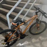 دوچرخه ویوا|دوچرخه، اسکیت، اسکوتر|کیش, |دیوار