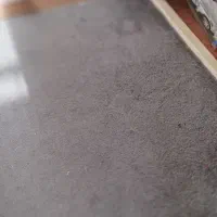 موکت پالاز سالم و تمیز کارکرده در حد نو|موکت|رباط‌کریم, رباط‌کریم|دیوار