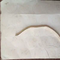 یک عددطلاشکسته