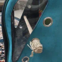 کوله حمل پرنده سالم|لوازم جانبی حیوانات|قرچک, مهدیه|دیوار