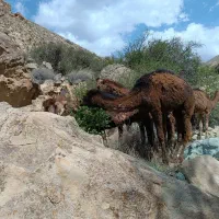 بچه شتر و بزغاله|حیوانات مزرعه|دماوند, دماوند|دیوار