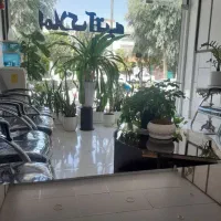 زیرزمین گلخانهای تکخواب در بنیاد،خیابان آل یاسین