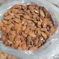 موادغذایی طبیعی سبزی  قرمه خوزستان  رسید