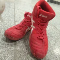 کفش کشتی سایز43