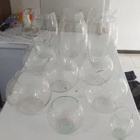 تنگ و اکواریوم|ماهی|بندرعباس, |دیوار