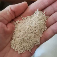 نیم دانه سورتینگ زده