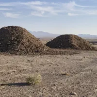 کود دامی پوسیده (گاوی.گوسفندی.بوقلمون)