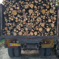 خریدفروش و هرس انواع چوب های باغی