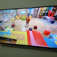 تلویزیون ۴۰ اینج نکسار