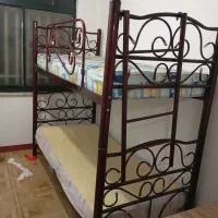 تخت خواب دوطبقه|تخت و سرویس خواب|لنگرود, |دیوار