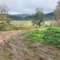 فروش زمین|فروش زمین و ملک کلنگی|توتکابن, |دیوار