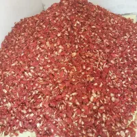گوجه خشک دوقارچ خورشیدی|خوردنی و آشامیدنی|بکتاش, |دیوار