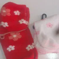 جوراب ساق بلند|لباس|نجفآباد, سعدی|دیوار