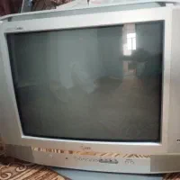 تلویزیون