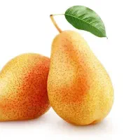 پیش فروش نهال گلابی بارتلت|خدمات باغبانی و درختکاری|سی‌سخت, |دیوار