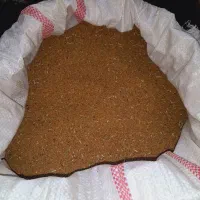 بذریونجه آبی