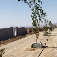 باغ ۵۵۵مترداخل مجتمع باآب جاده کلات روستای کلاکوب|فروش خانه و ویلا|مشهد, نوچاه|دیوار