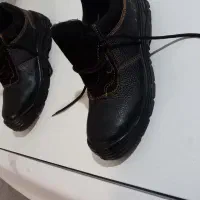 دستکش خال دار ۱۵ جفت|کیف، کفش، کمربند|محمدشهر, محمدشهر|دیوار