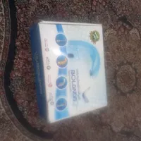 شیر‌برقی