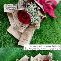 رز ربانی «رز جاودان»|گل مصنوعی|ابهر, |دیوار