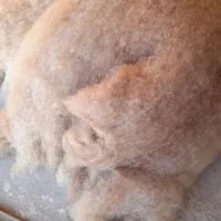 حلاجی(سومح ودیدمه)پشم والیاف|رختخواب، بالش، پتو|سراب, |دیوار