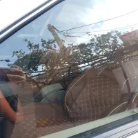 پارس TU5مدل ۱۴۰۲|خودرو سواری و وانت|یزد, |دیوار