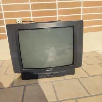 تلوزیون