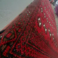 تابلو فرش و پشتی|پشتی|مشهد, هفت تیر (حافظ)|دیوار