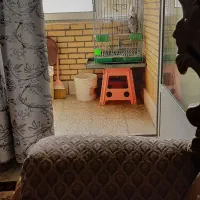 قیمت۲۵۰۰۰۰۰۰