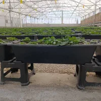 تهاتر یا فروش گلخانه ارگانیک در منطقه دشمن زیاری