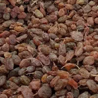 خرید و فروش کشمش