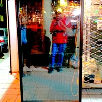 واگذاری یخچال ها و پایه پالمر پرتینی