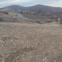 زمین کشاورزی