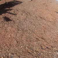 پوست بادام خشک شده