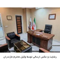 استخدام نیروی رسمی