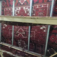 فرش نه متری اهر|فرش|تبریز, |دیوار