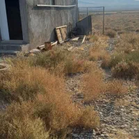 زمین کشاورزی در جاده چشمه|فروش زمین و ملک کلنگی|ایواوغلی, |دیوار